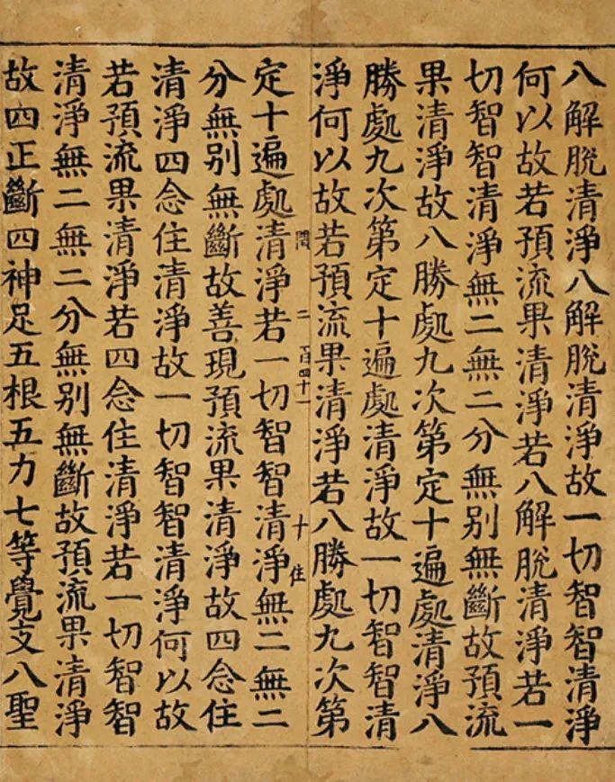 二四六天天彩资料大全网最新排期,二四六天天彩资料大全网最新排期解析